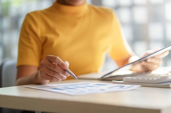 Guide : Réaliser son bilan annuel de revenus Vinted