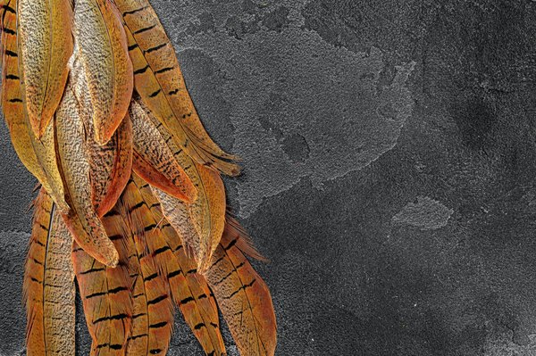 Que signifie une plume jaune ?