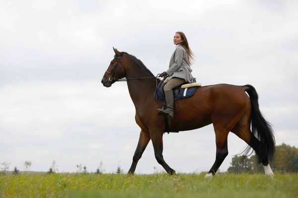 Horse Pilot : une référence pour l'achat d'un pantalon d'équitation pour femme
