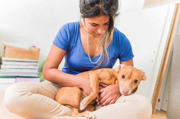 Protégez votre animal: avantages de l'assurance pet