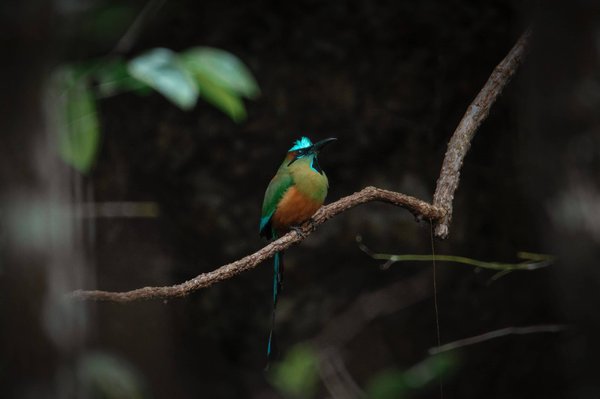Comment faire face à la procrastination et être plus productif ?